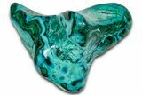 Vibrant Polished Malachite with Chrysocolla - DR Congo #336859-1
